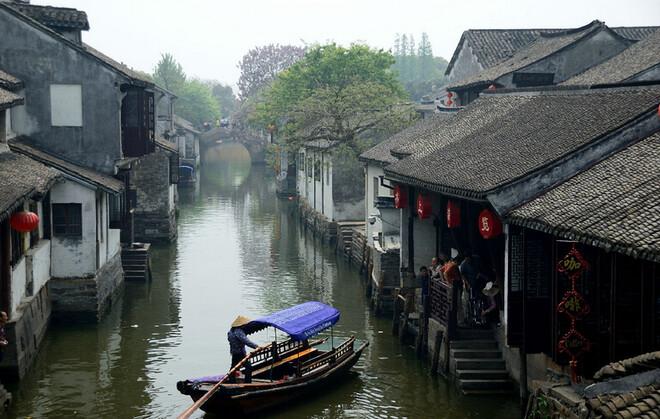 强大的狮子拼图
